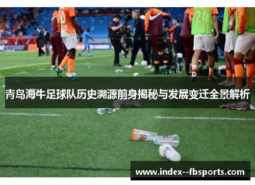 青岛海牛足球队历史溯源前身揭秘与发展变迁全景解析 青岛海牛足球队历史溯源前身揭秘与发展变迁全景解析