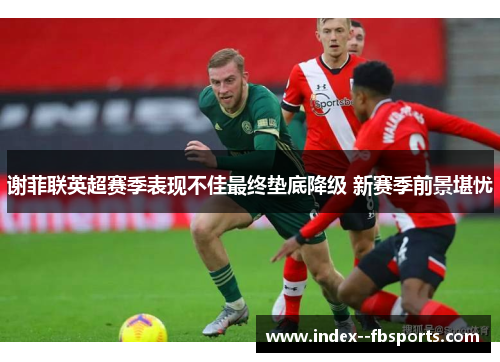 谢菲联英超赛季表现不佳最终垫底降级 新赛季前景堪忧