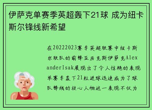 伊萨克单赛季英超轰下21球 成为纽卡斯尔锋线新希望